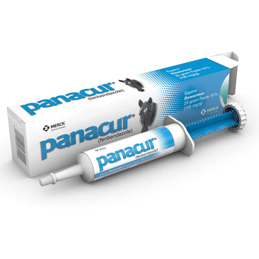 PANACUR Dewormer Horse Paste 10%, 100mg (2-Pack)