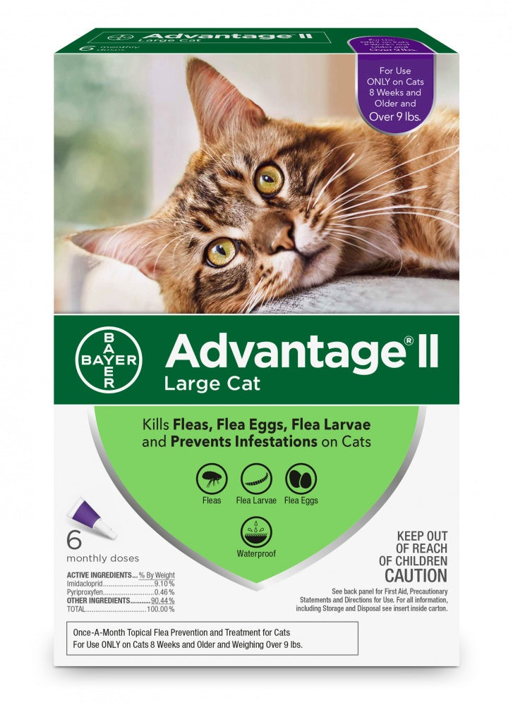 Elanco Advantage II Large Cat Over 9 lbs - 6 Monthly Doses - New in Box!