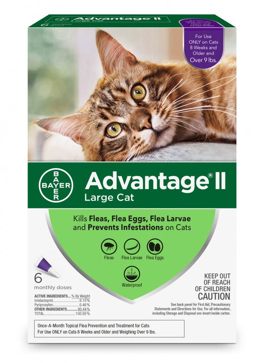 Elanco Advantage II Large Cat Over 9 lbs - 6 Monthly Doses - New in Box!