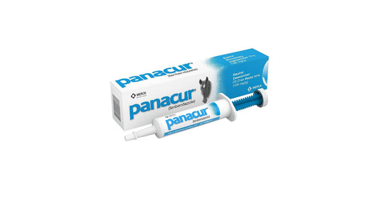 Panacur Dewormer Horse Paste 10%, 100mg | Single